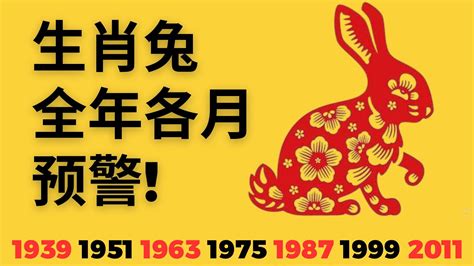 2024年屬兔的運勢|2024年属兔人的全年运势 属兔人2024年每月运势及运程详解